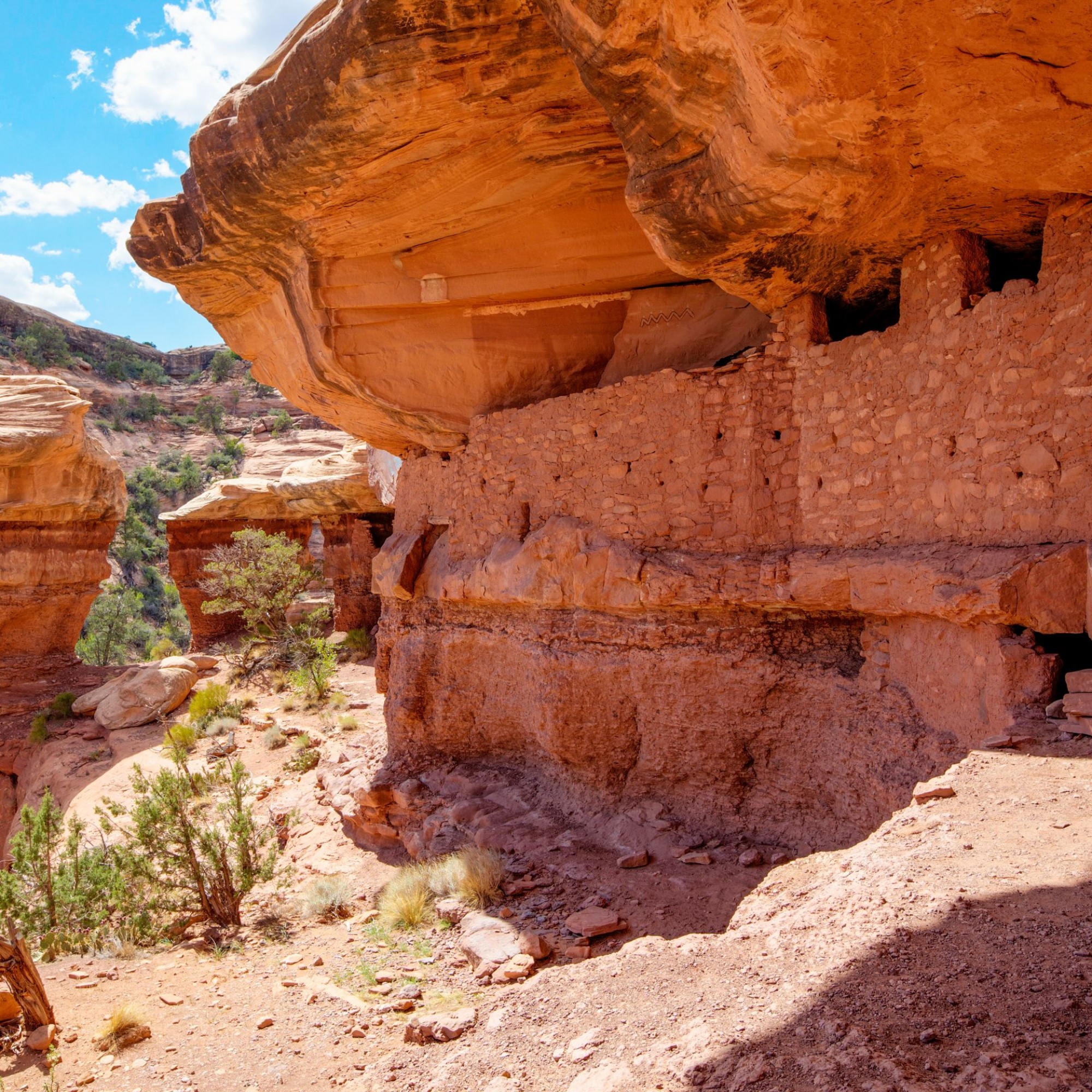 Cedar Mesa Moon House