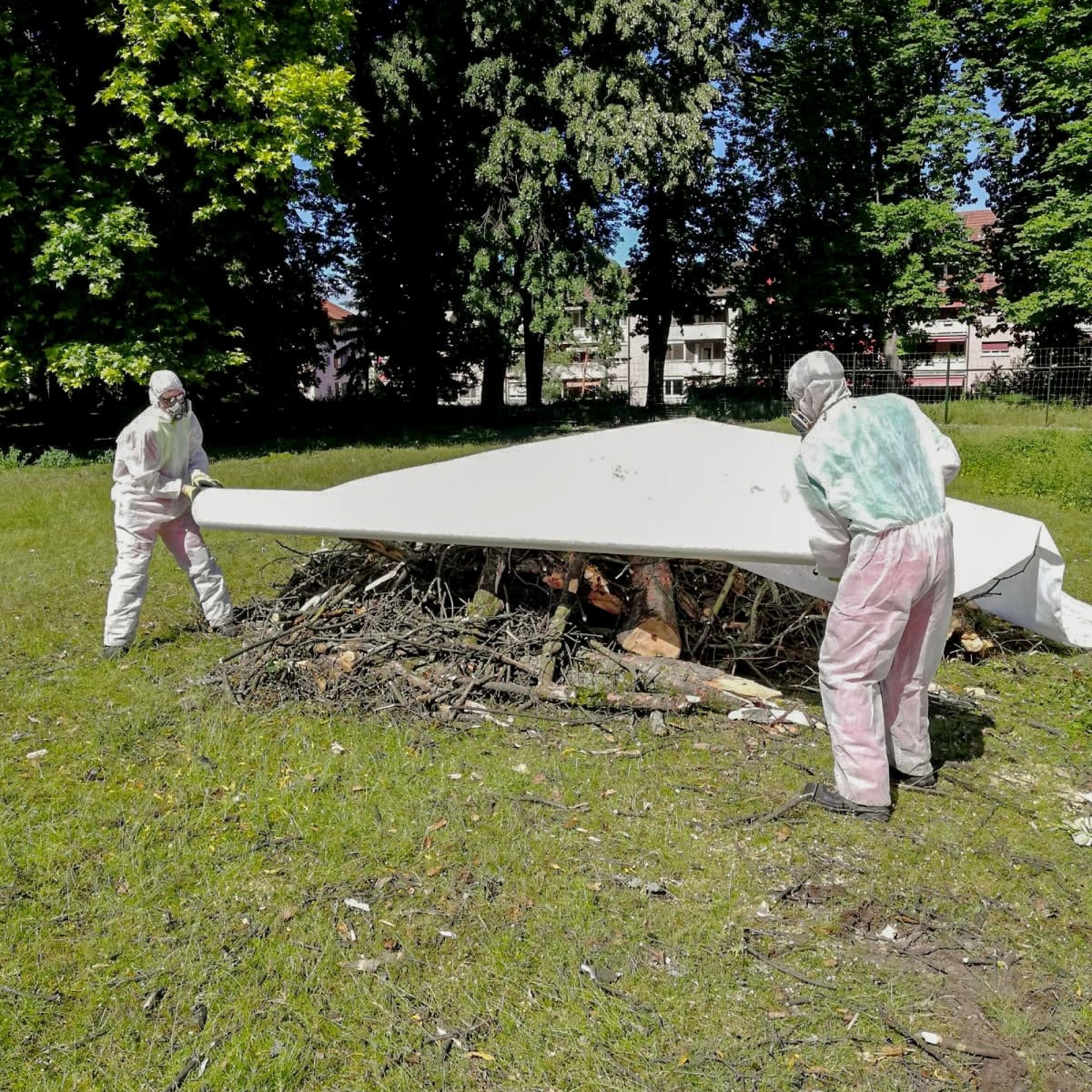 Beseitigung von befallenem Bau in Basler Parkanlage