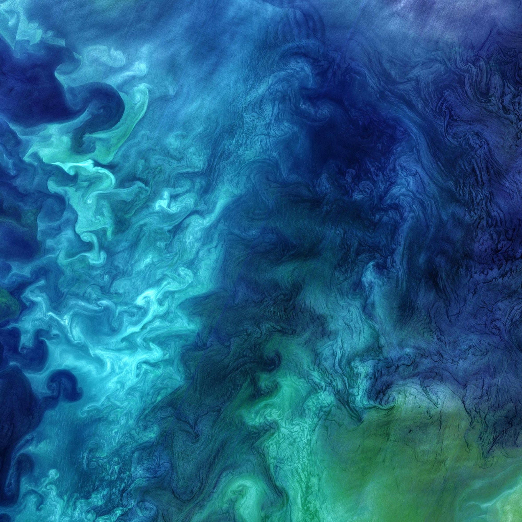 Blaualgen in der Tschuktschen-See. (Aufnahme aus dem Orbit)