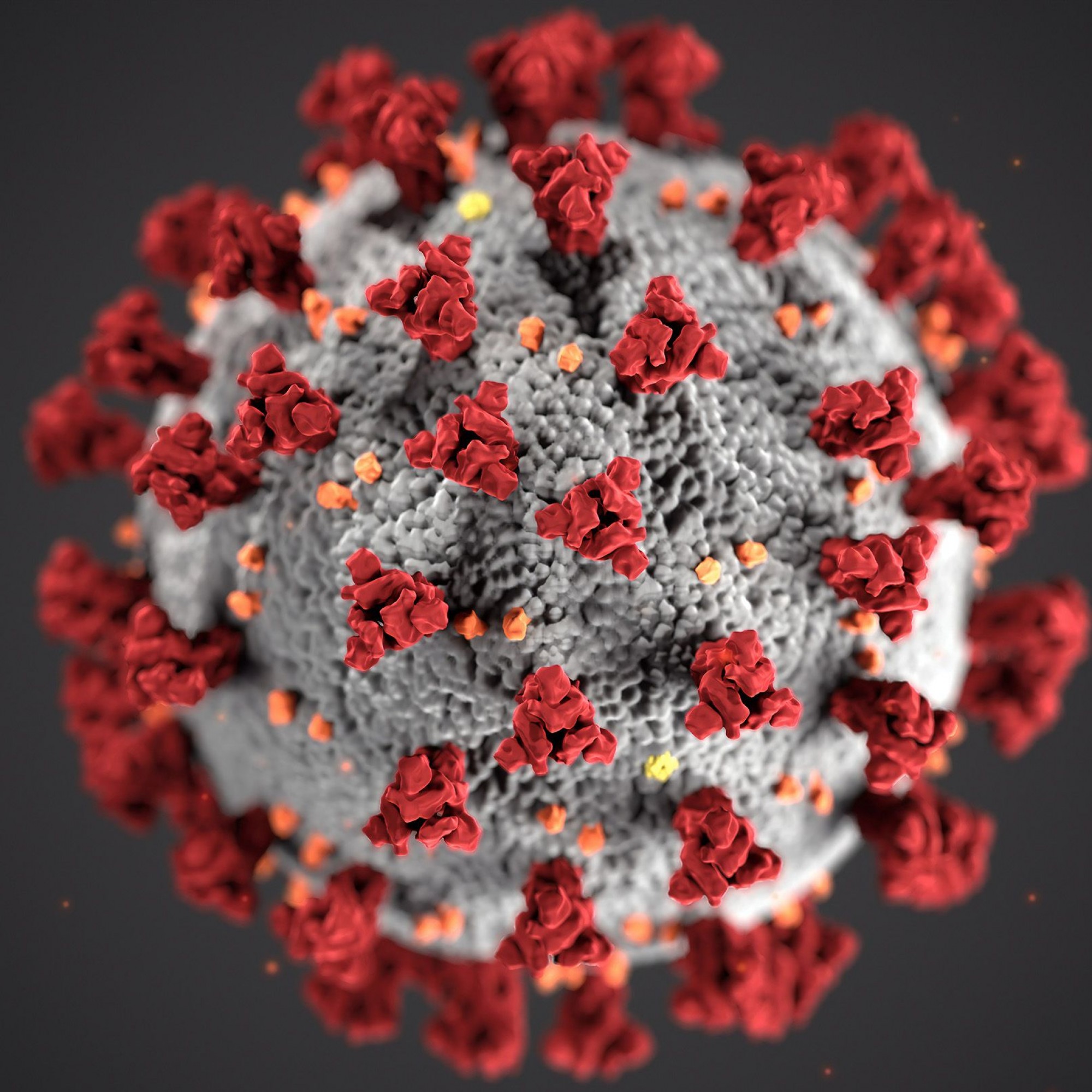 Coronoa-Virus (Illustration)
