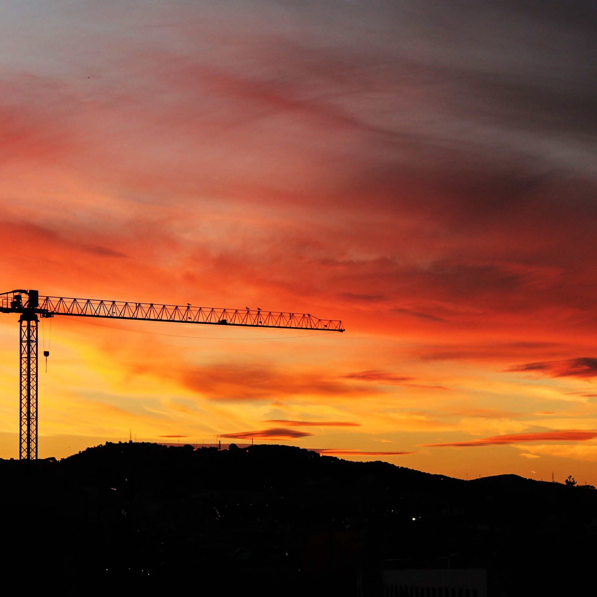 Kran bei Sonnenuntergang