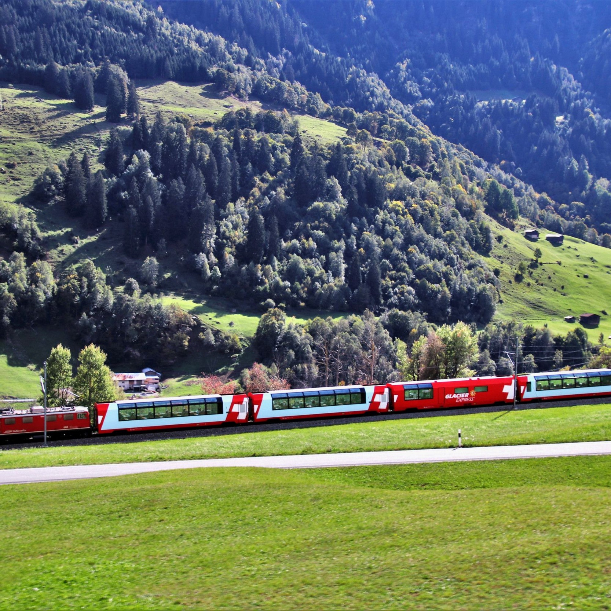 Bahn an einem Waldstück