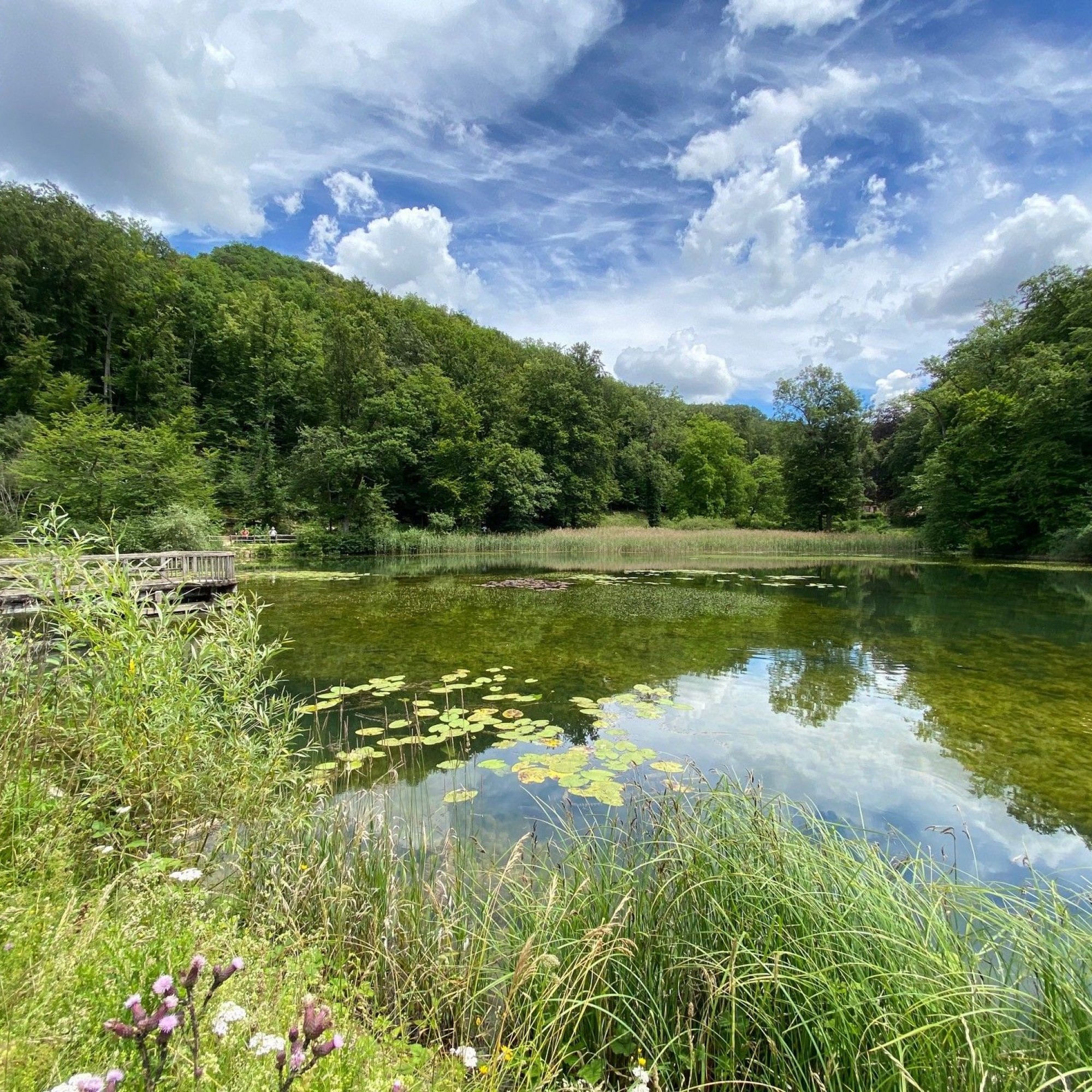 Ermitage Arlesheim Weiher