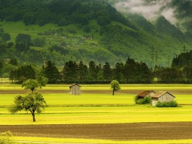 Feld in Graubünden