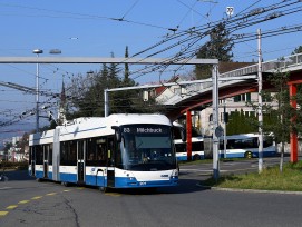 VBZ-Buslinie 83