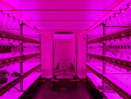 Vertical Farm von Growcer im Smart City Lab Basel