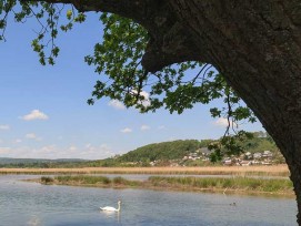 2020_klingnauerstausee