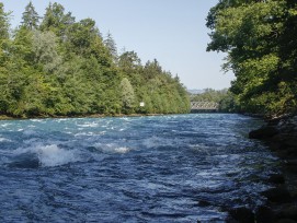 Aare bei Heimberg