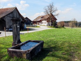 Weiler Chöll in Stettfurt TG