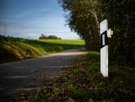 Warnlicht vor Wildtieren im Kanton Wallis