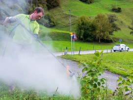 Neophyten-Bekämpfung im Kanton Uri mit heissem Wasser