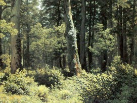 "Eichenwald" von Robert Zünd um 1882.