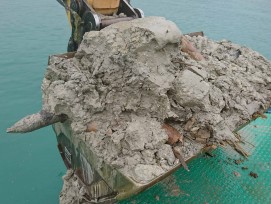 Bagger hebt prähistorische Holzpfähle in Luzern aus