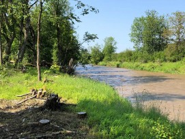 Fluss Wutach im Kanton Schaffhausen