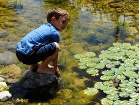 Kind an einem Teich