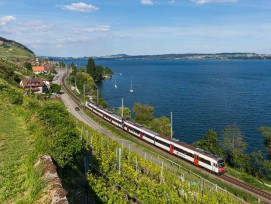 Zug zwischen Twann und Ligerz am Bielersee