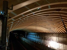 Tunnel Wildtierbrücke