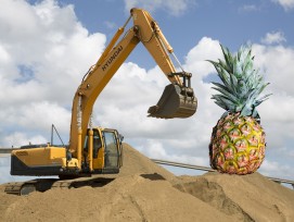 Bagger mit Ananas