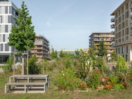 Neubauquartier Les Vergers in Meyrin