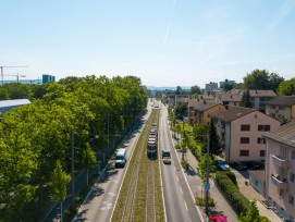 Grüngleise der Limmattalbahn