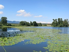 Inkwilersee im Kanton Bern