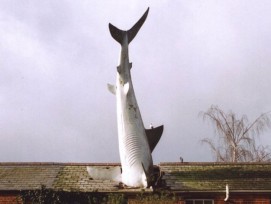 Headington Shark