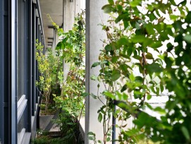 Begrünung Südfassade Stadtspital Triemli Zürich