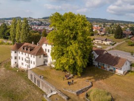 Schloss Brestenberg in Seengen