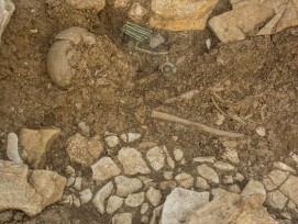 Detail aus dem Grab 14.