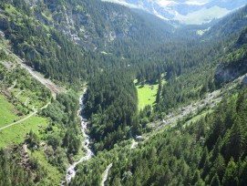 Gebiet Alt Rüti im Brunnital Unterschächen