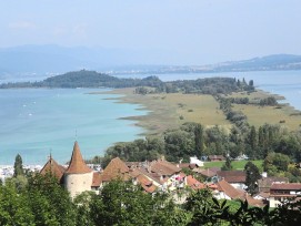 Blick auf St. Petersinsel bei Erlach