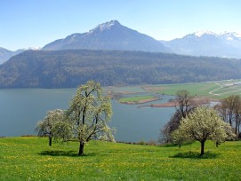 Alpnachstad im Kanton Obwalden