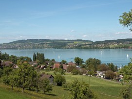 Hallwilersee Blick von Beinwil am See Richtung Seengen und Meisterschwanden