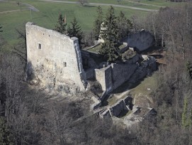 Ruine Farnsburg mit Schildmauer