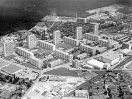 Tscharnergut-Siedlung