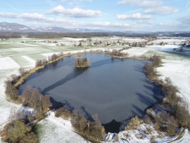 Inkwilersee archäologische Fundstelle