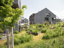 Binding Preis Biodiversität 2023 Gemeinschaftsgarten Pra Roman in Lausanne