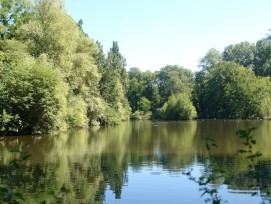 Entenweiher Landschaftspark Wiese