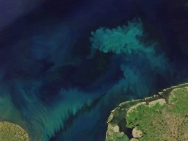 NASA Satellitenbild Ozeanfarbe