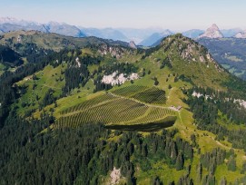 Visualisierung Alpin Solar Ybrig Solaranlage Axpo Oberiberg