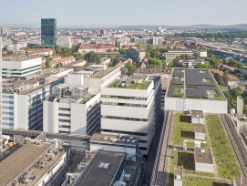 Entwicklung Roche Nordareal Basel