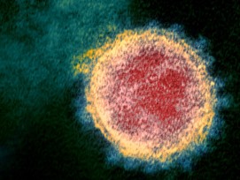 Novel_Coronavirus_SARS-CoV-2