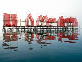 Angsila Oyster Scaffolding Pavilion