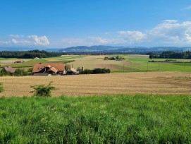 Landschaft des Jahres 2024 Weilergebiet Frienisbergplateau Bern