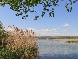 Klingnauer Stausee