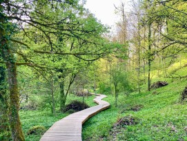 Holzsteg im Totentäli bei Winterthur