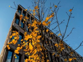 KOF-Baublatt-Ausblick 02/2025