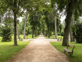 Allse im Kannenfeldpark in Basel