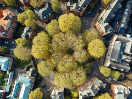 Arnold Cirucs in London (Luftaufnahme)