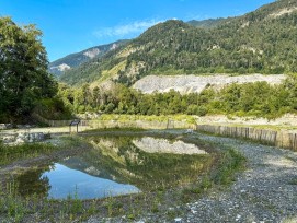 Naturschutzgebiet Rheinauen in Trimmis